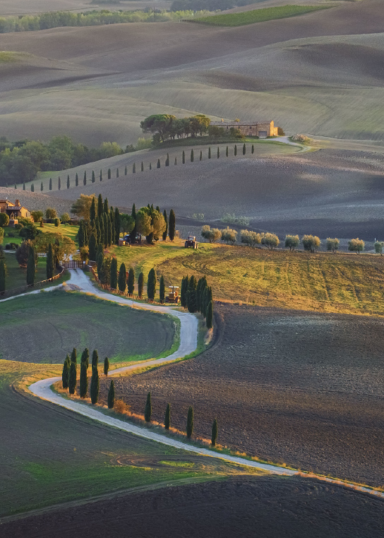 Wine beyond Tuscany